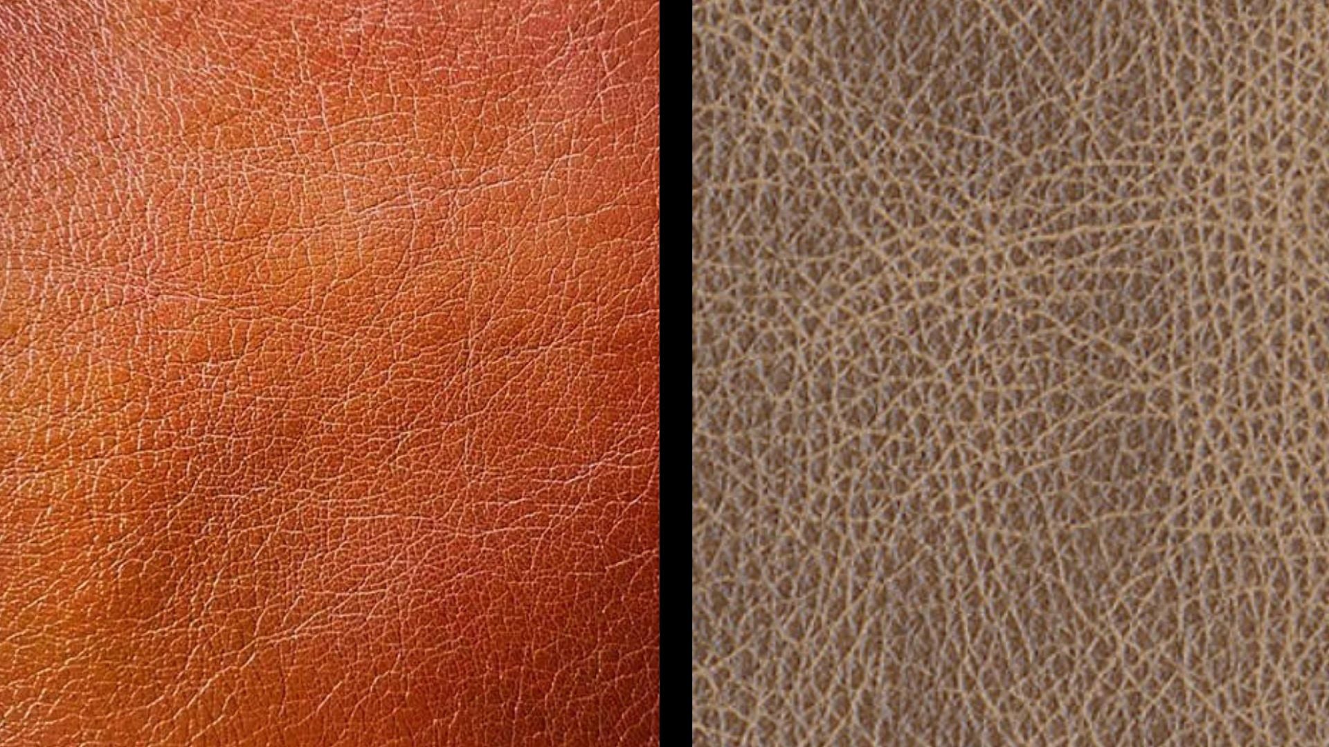 Vegan Leather Vs Real Leather: All You Need To Know