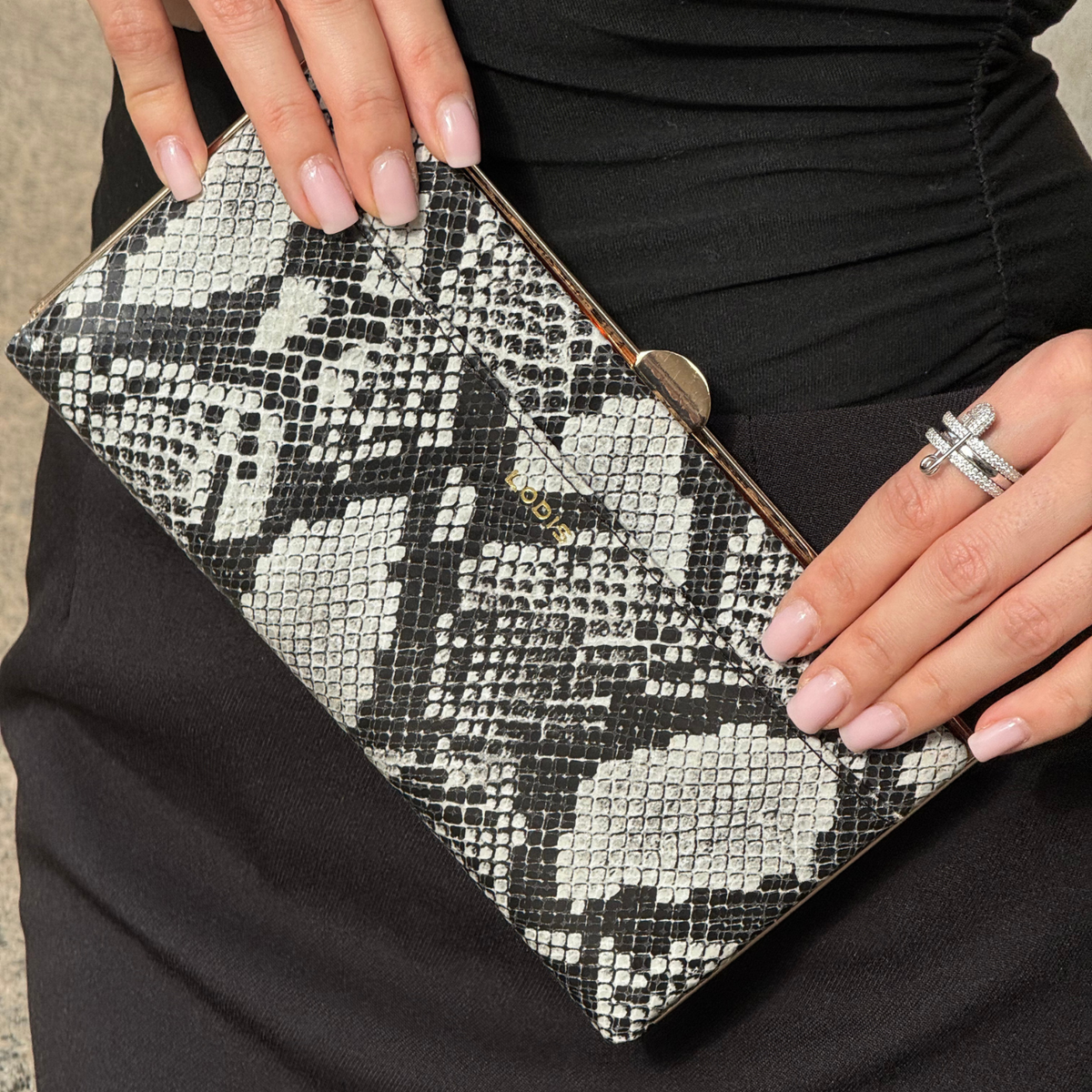 Quinn Clutch Framed Wallet