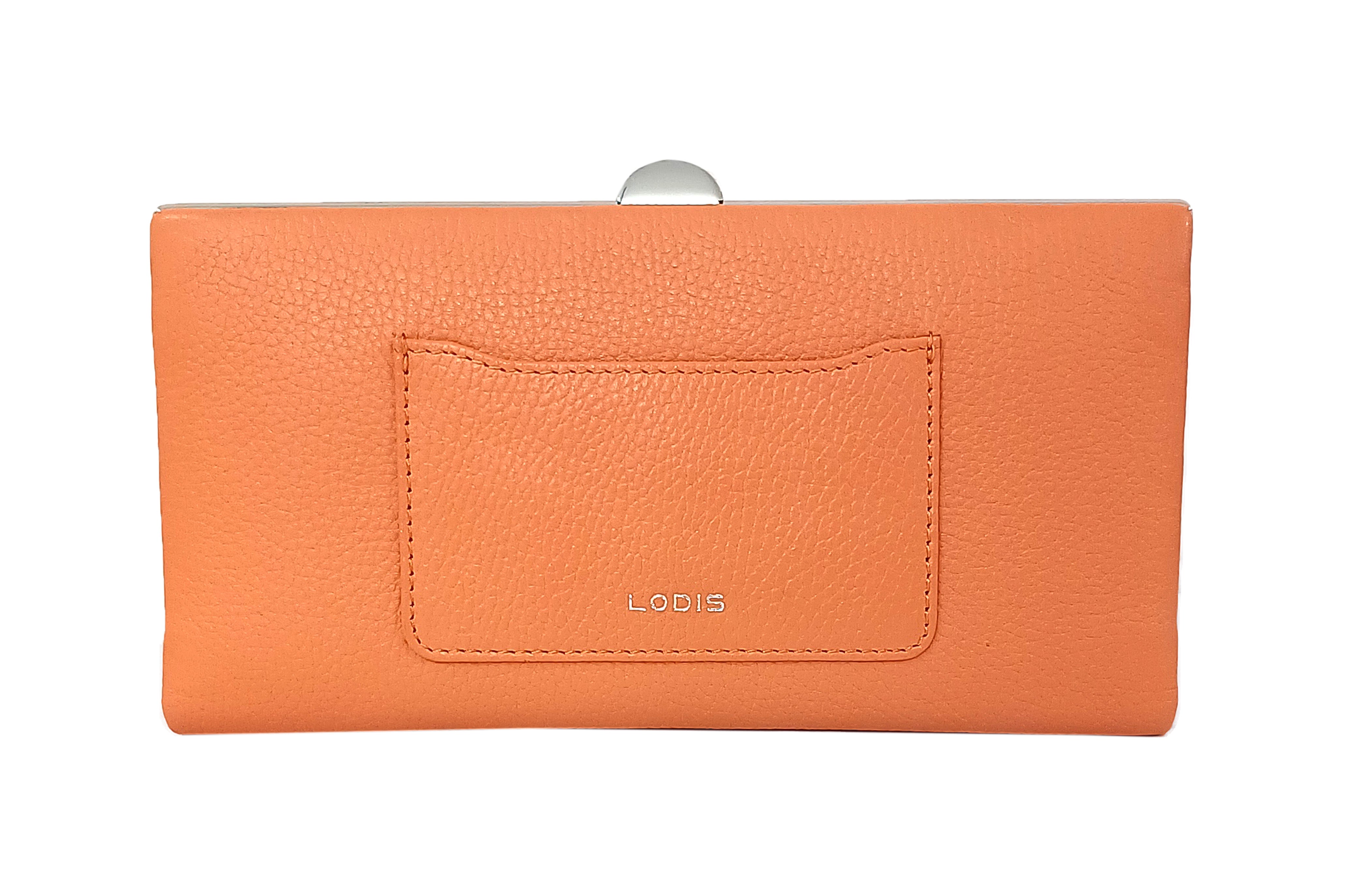 QUINN CLUTCH FRAMED WALLET