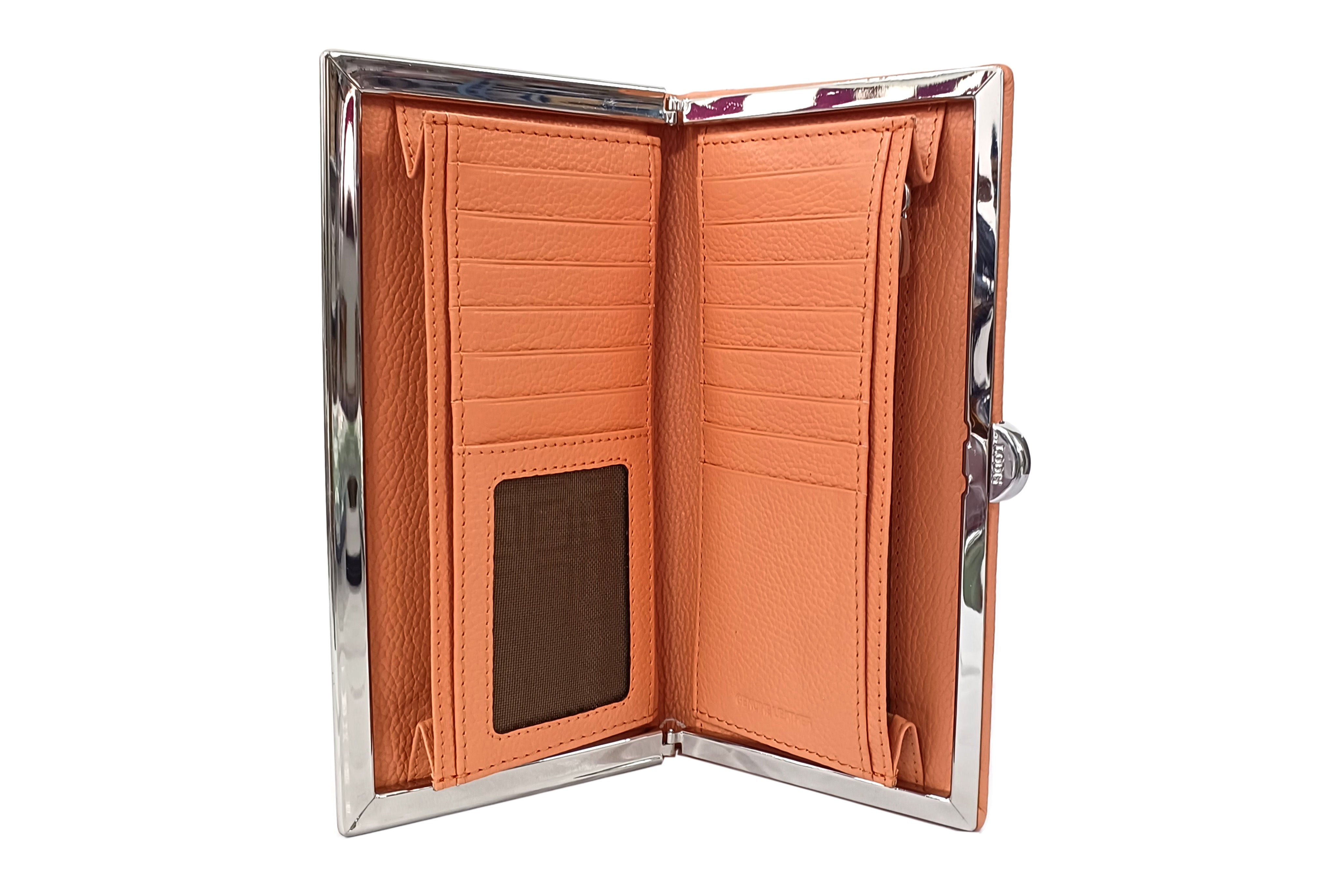 QUINN CLUTCH FRAMED WALLET