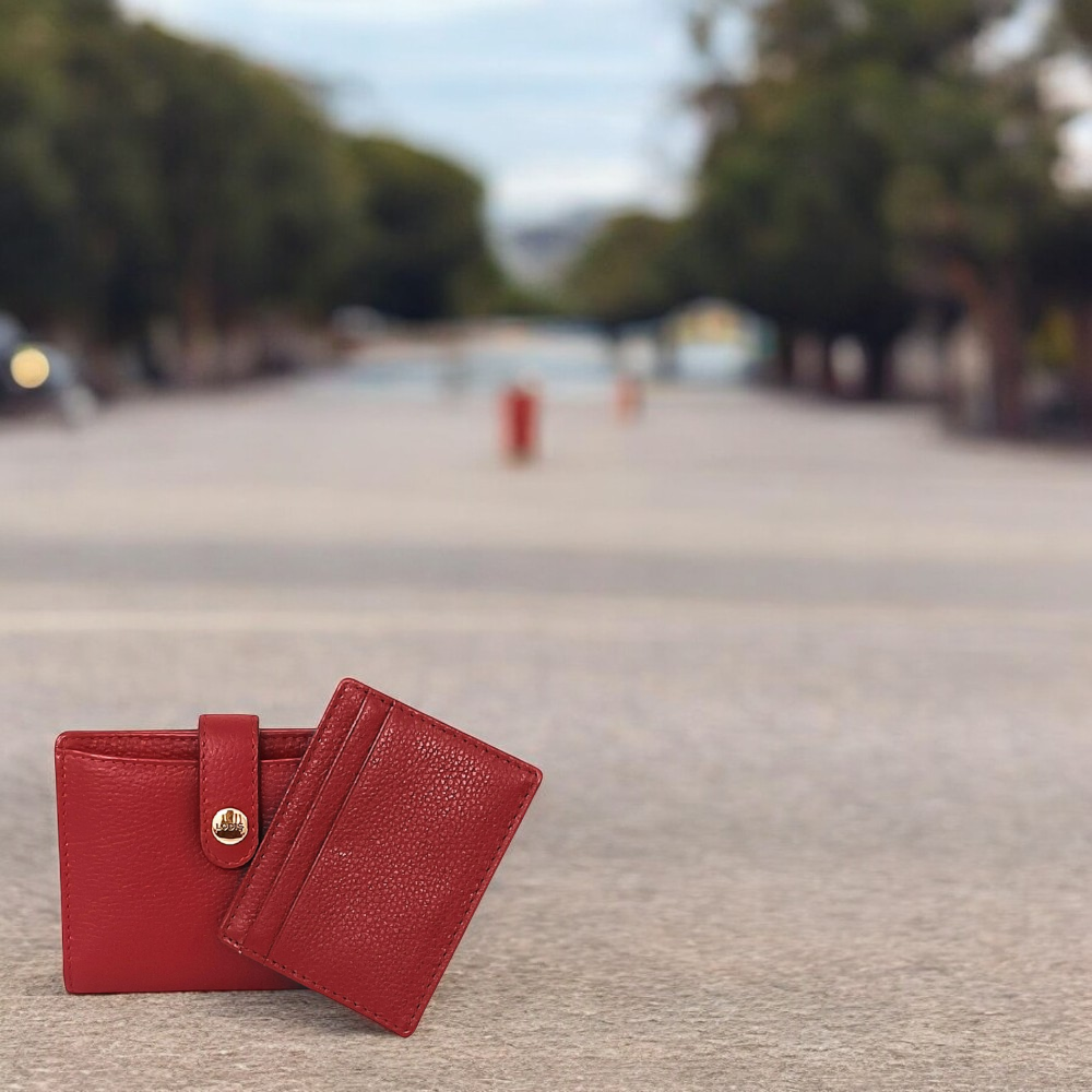 Erica Traveller Wallet