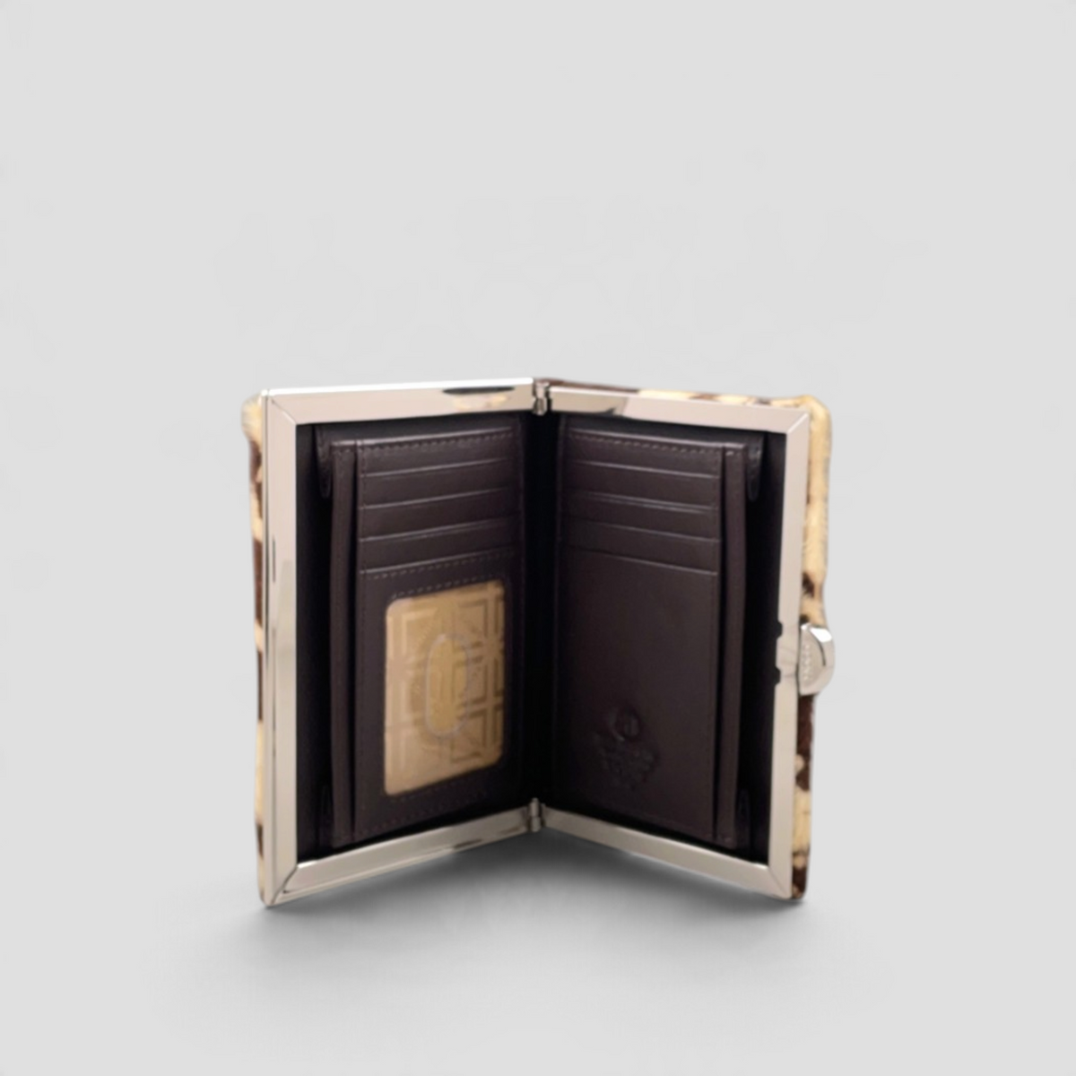 Quinn Clutch Frame Wallet Medium