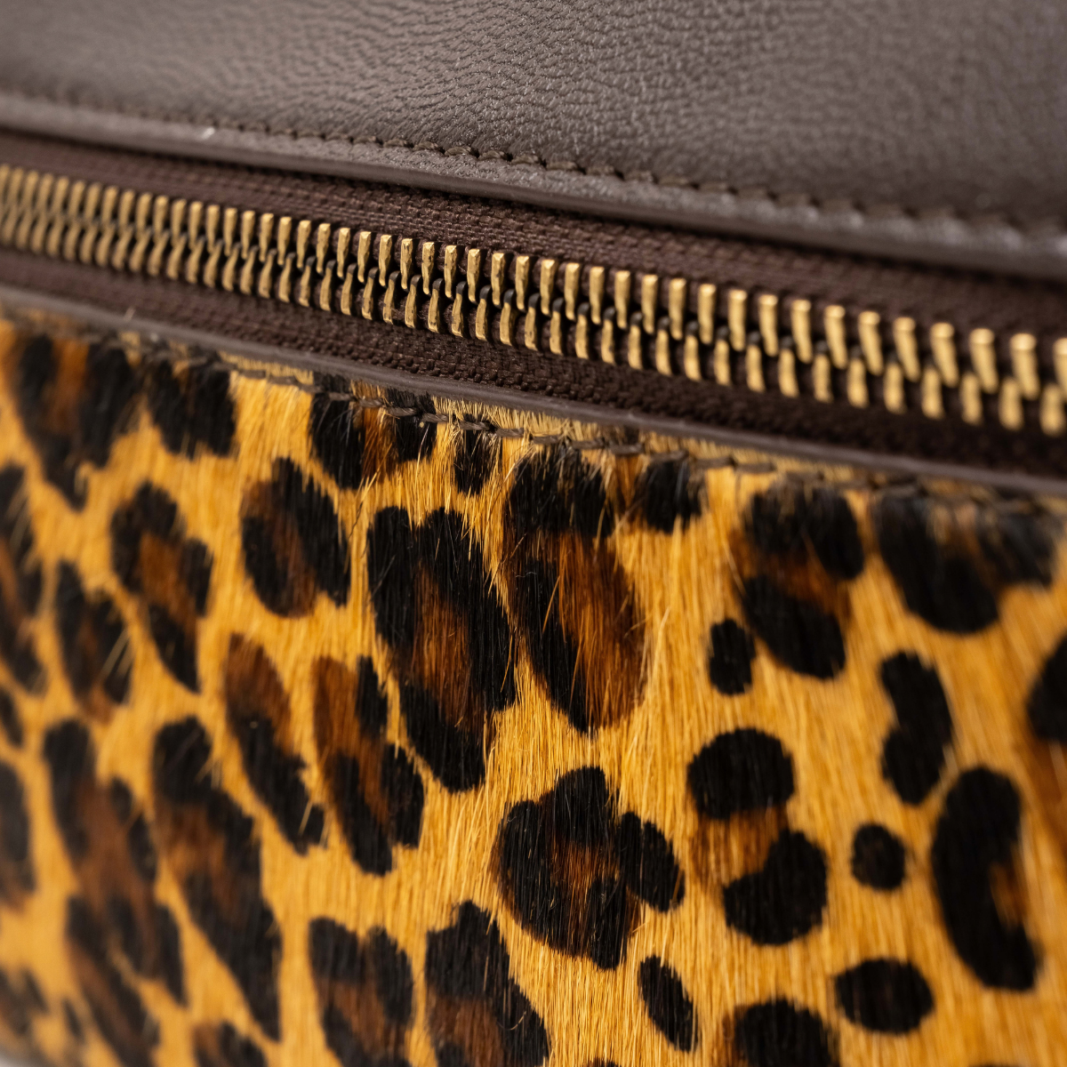STRATOS TEXAS CROSSBODY - CHEETAH PRINT