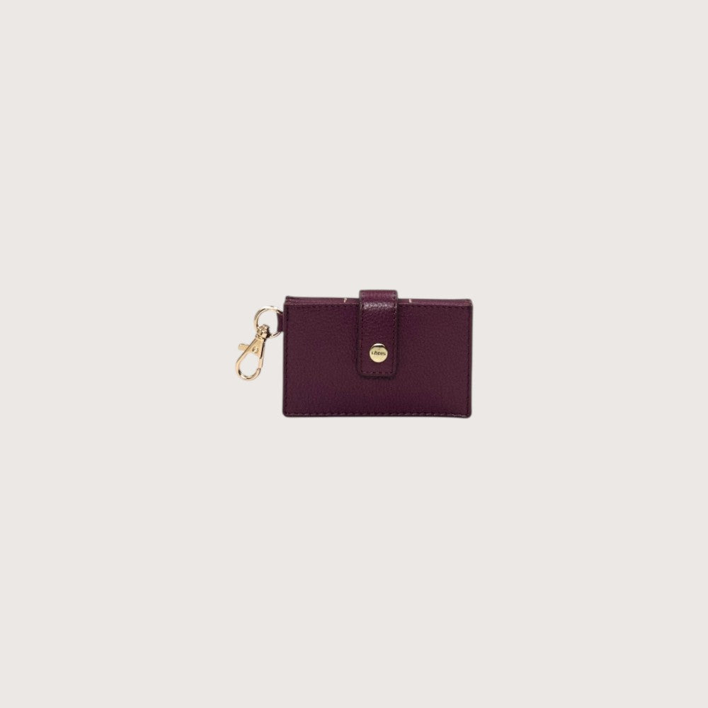 Kate Accordian Card Case