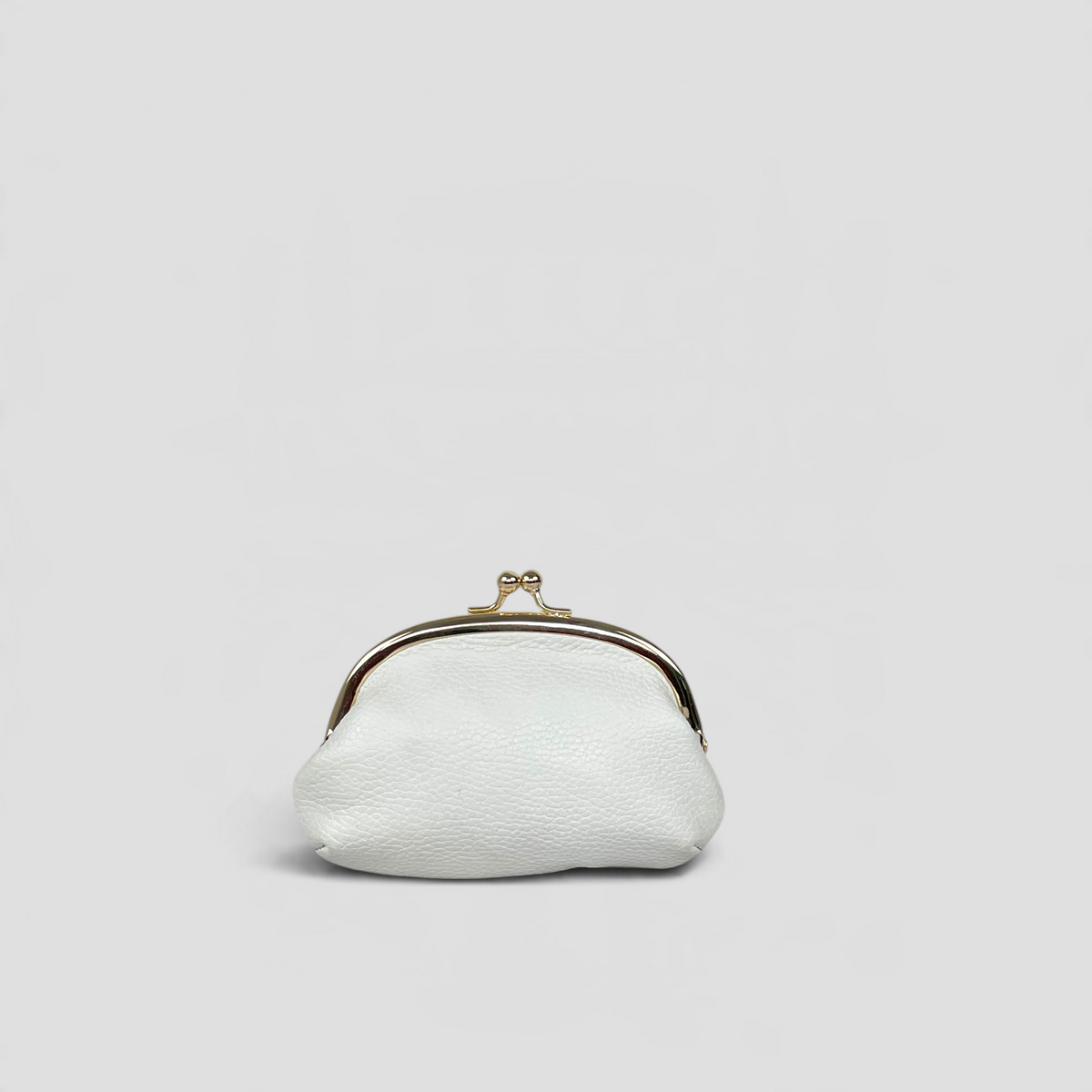 BLAIR FRAME PURSE - SALT