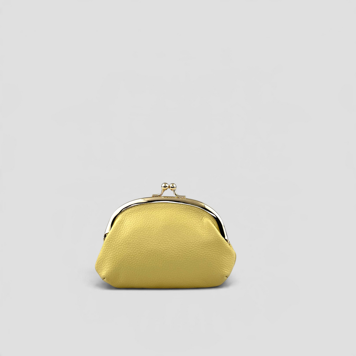 BLAIR FRAME PURSE - CURRY