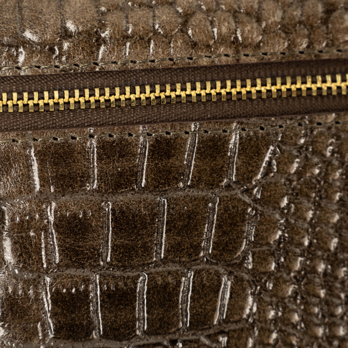 Lodis Amara Checkbook Clutch in Olivine - Macro Detail of Gold-Tone Zipper Across Olive Green Glossy Croco-Embossed Leather | Lodis 1965