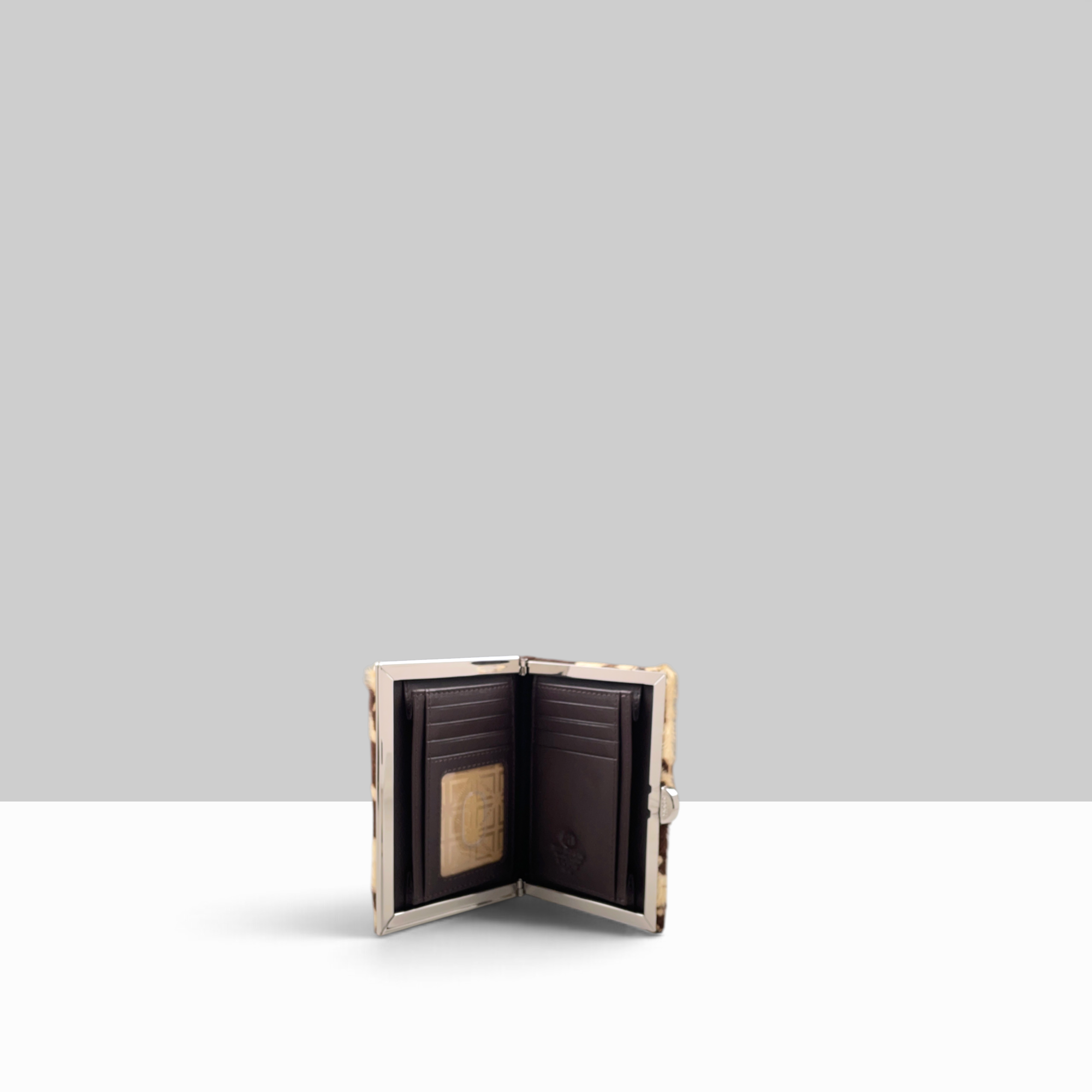 Quin Clutch Frame Wallet Medium