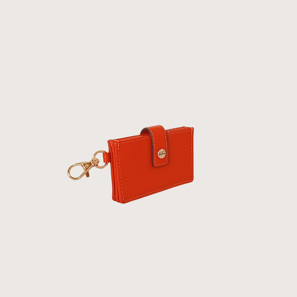KATE ACCORDIAN CARD CASE