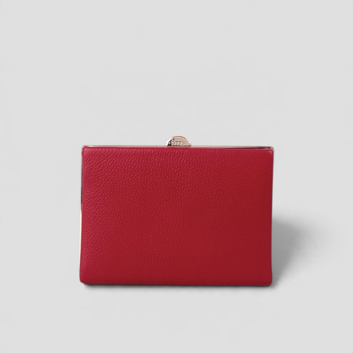 Quinn Clutch Frame Wallet Medium