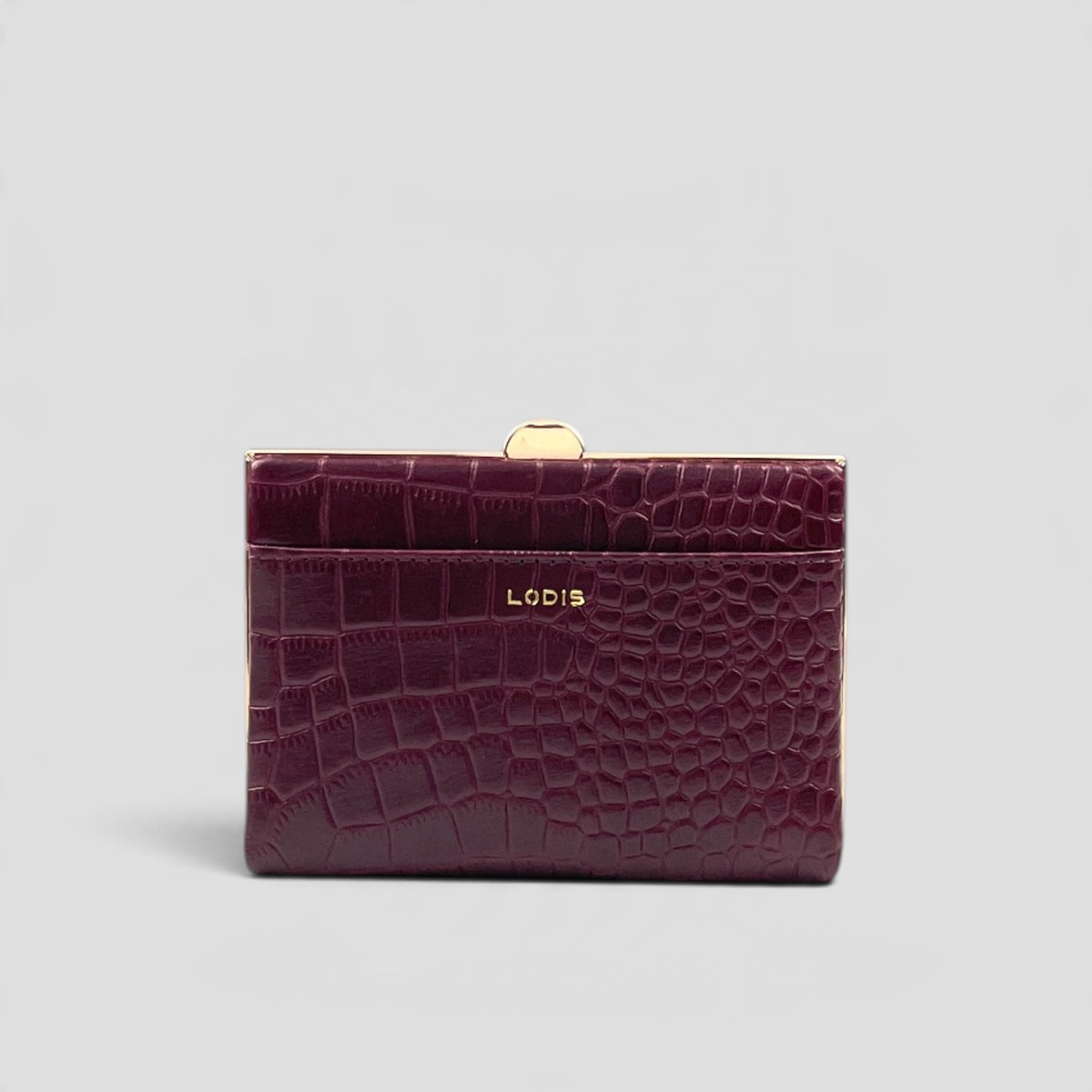Quinn Clutch Frame Wallet Medium