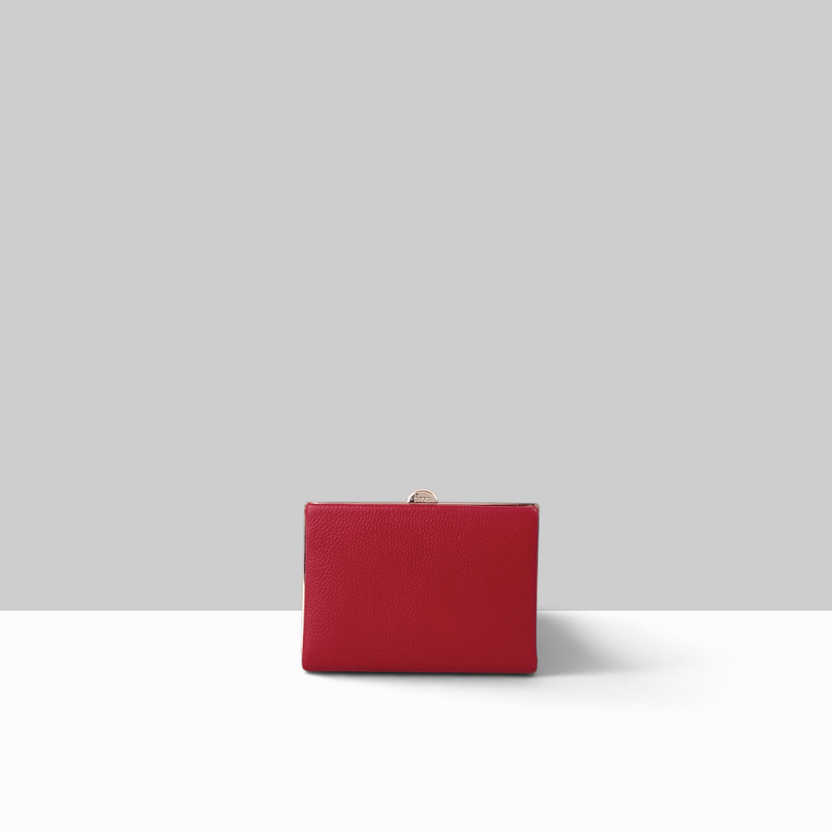 Quinn Clutch Frame Wallet Medium