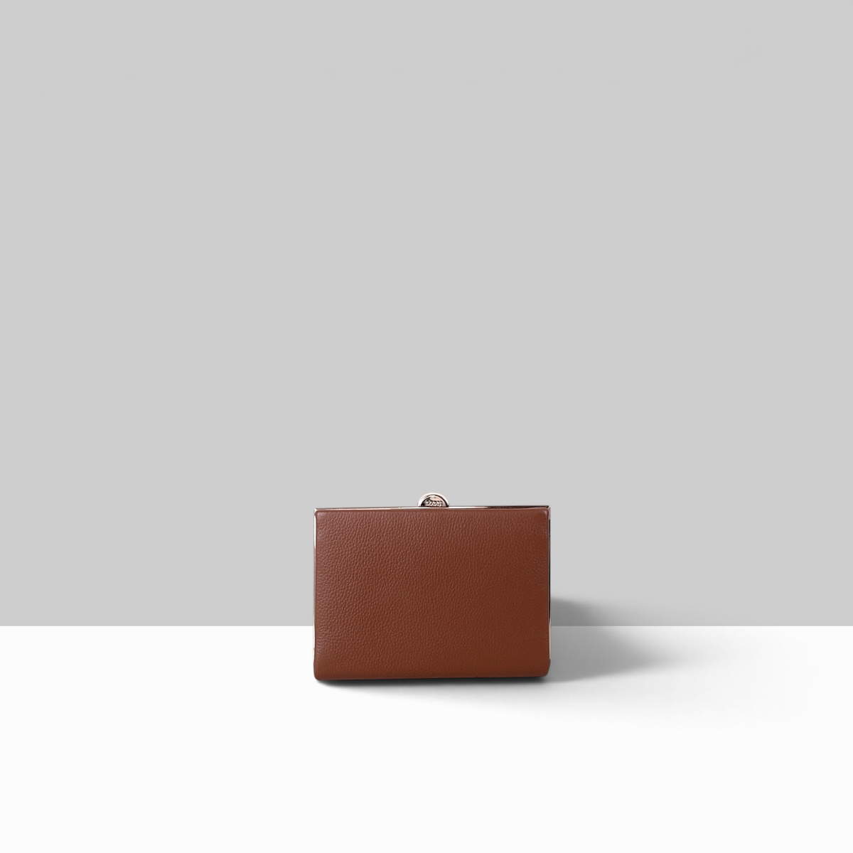 Quinn Clutch Frame Wallet Medium