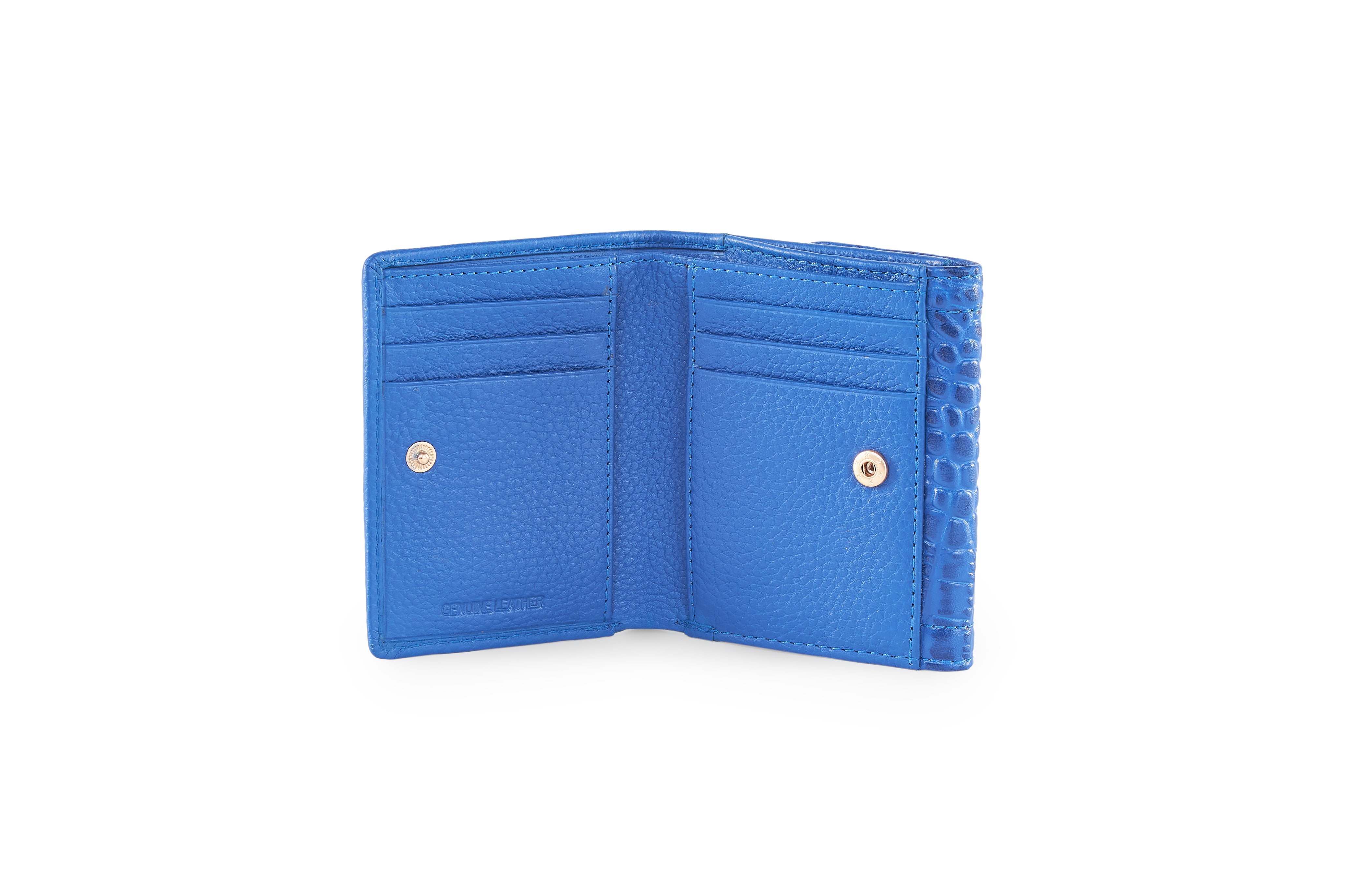 Buy Now & Get the Compact Elegance of Elia Bifold Wallet